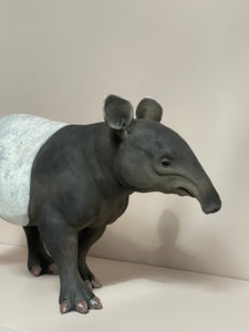 Malaysian Tapir l