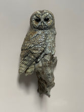 Load image into Gallery viewer, Tawny Owl