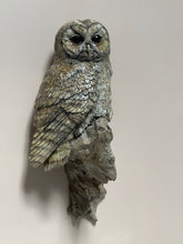 Load image into Gallery viewer, Tawny Owl