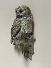 Load image into Gallery viewer, Tawny Owl