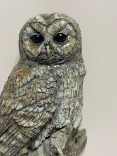 Load image into Gallery viewer, Tawny Owl