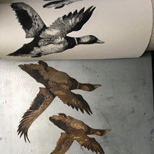 Load image into Gallery viewer, Tair Hwyaden : Three Ducks