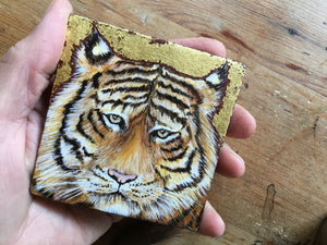 Little Treasures 'Tiger'