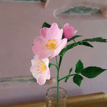 Load image into Gallery viewer, Wild Dog Rose
