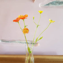 Load image into Gallery viewer, Geum