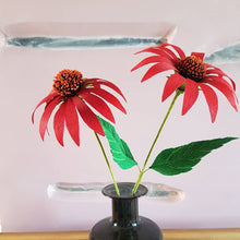 Load image into Gallery viewer, Red Echinacea