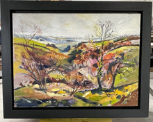 Load image into Gallery viewer, Nant Colomendy from Allt Castell