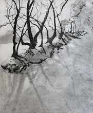 Load image into Gallery viewer, Snow on the track