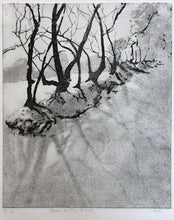 Load image into Gallery viewer, Snow on the track