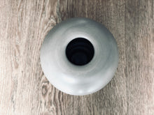 Load image into Gallery viewer, Anantropus Series : 10