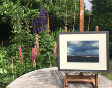 Load image into Gallery viewer, The Bright Field