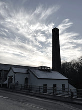 Load image into Gallery viewer, LORE OF THE LEAVES - Appointment