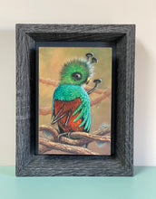 Load image into Gallery viewer, Money Love Revenge