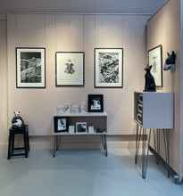 Load image into Gallery viewer, Dan Y Mynydd Du