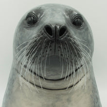 Load image into Gallery viewer, I see you (Harbour seal, Phoca vitulina)