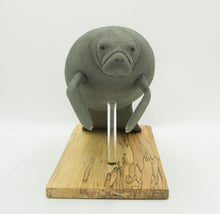 Load image into Gallery viewer, Manatee (Trichechus manatus)