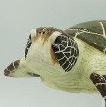 Load image into Gallery viewer, Nomad (Green turtle, Chelonia mydas)