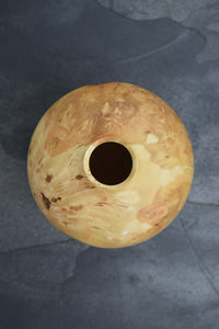 Burr ash hollow form