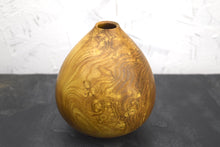 Load image into Gallery viewer, Burr laburnum wood