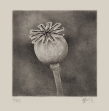 Load image into Gallery viewer, Poppy Head