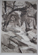 Load image into Gallery viewer, Rivers of Carmarthen : Afon Cothi