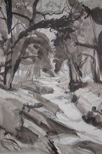 Load image into Gallery viewer, Rivers of Carmarthen : Afon Cothi