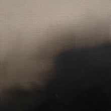 Load image into Gallery viewer, Veiled Landscape l