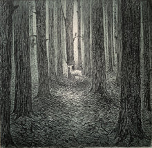 Load image into Gallery viewer, A forest