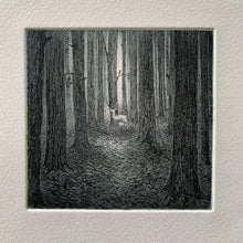 Load image into Gallery viewer, A forest