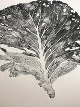 Load image into Gallery viewer, CABETSEN