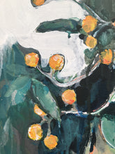 Load image into Gallery viewer, Buddleja Globosa (Orange Ball Plant)