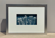 Load image into Gallery viewer, Dog Daisies