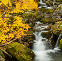 Load image into Gallery viewer, Garo-No-Taki