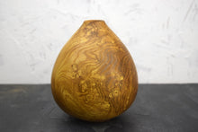 Load image into Gallery viewer, Burr laburnum wood
