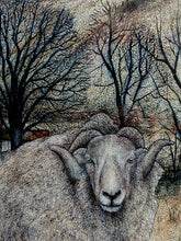 Load image into Gallery viewer, Hill Radnors