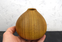 Load image into Gallery viewer, Laburnum hollow form