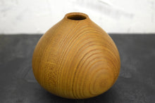 Load image into Gallery viewer, Laburnum hollow form