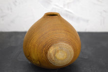 Load image into Gallery viewer, Laburnum hollow form