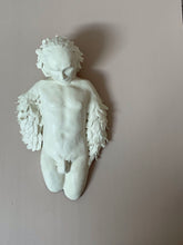 Load image into Gallery viewer, Winged