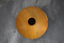 Load image into Gallery viewer, Laburnum hollow form