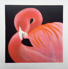 Load image into Gallery viewer, Preening