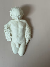 Load image into Gallery viewer, Winged