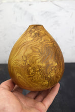 Load image into Gallery viewer, Burr laburnum wood