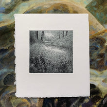 Load image into Gallery viewer, Moss