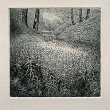 Load image into Gallery viewer, Moss