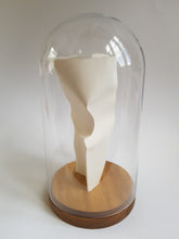 Load image into Gallery viewer, Bottom