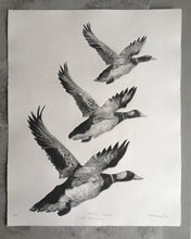 Load image into Gallery viewer, Tair Hwyaden : Three Ducks