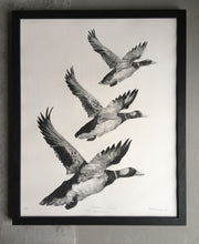 Load image into Gallery viewer, Tair Hwyaden : Three Ducks