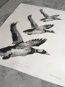 Tair Hwyaden : Three Ducks