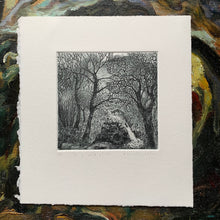 Load image into Gallery viewer, In a wild place